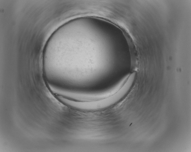 X0000088651516200706081625