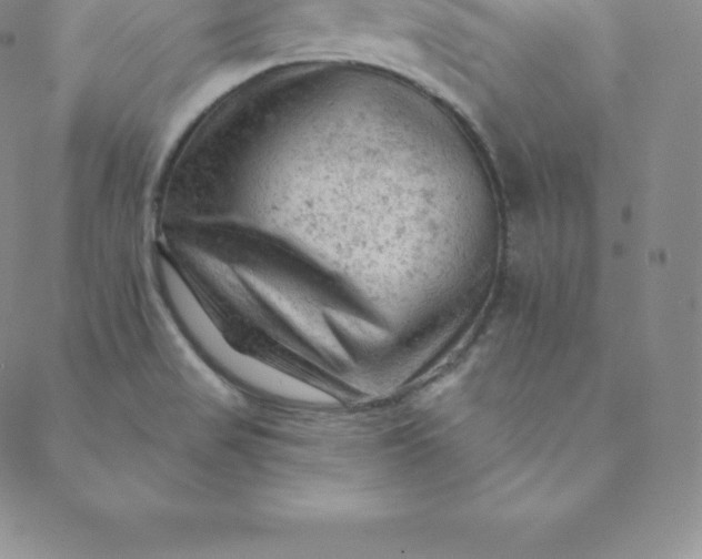 X0000088651517200706081625