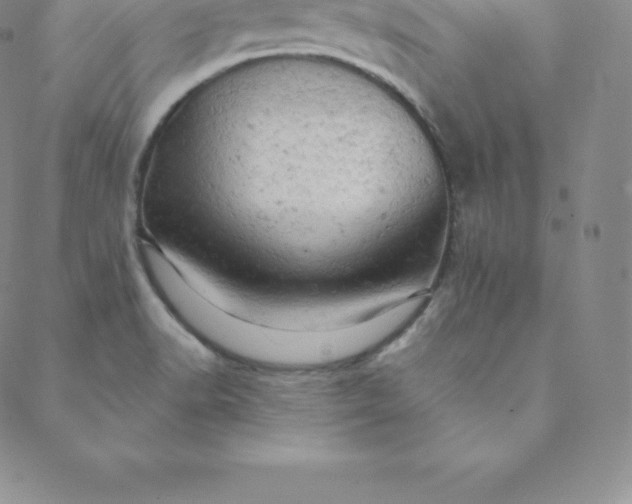 X0000088651518200706081625