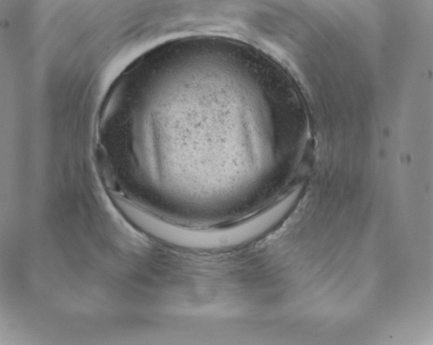 X0000088651520200706081625