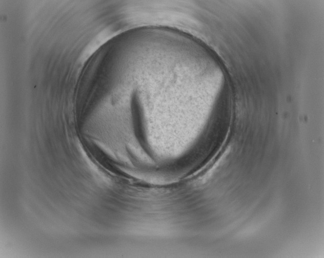 X0000088651521200706081625