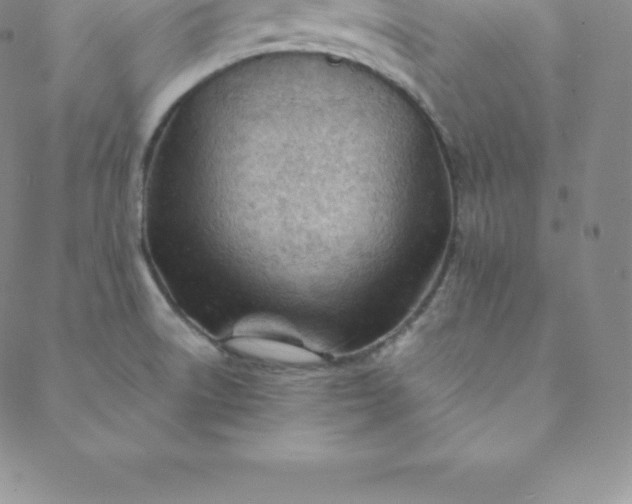 X0000088651522200706081625