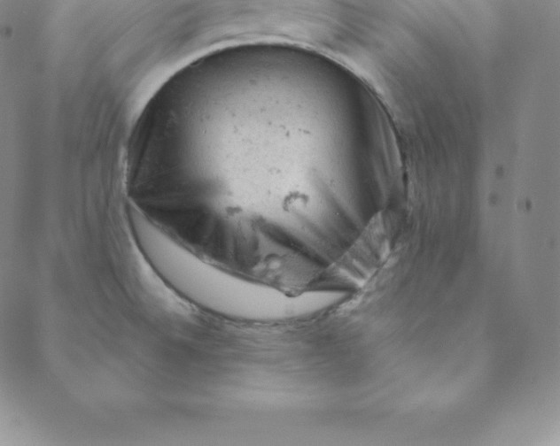 X0000088651524200706081625