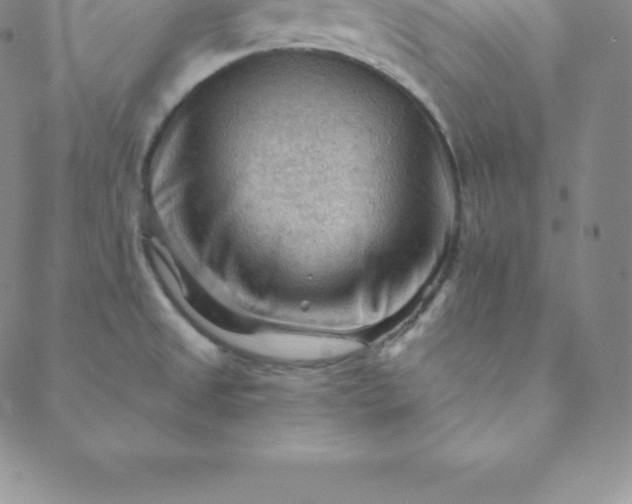 X0000088651525200706081625