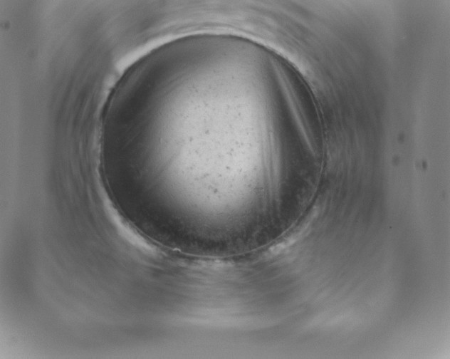 X0000088651526200706081625