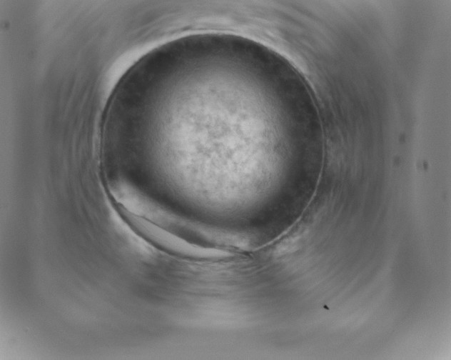 X0000088651527200706081625