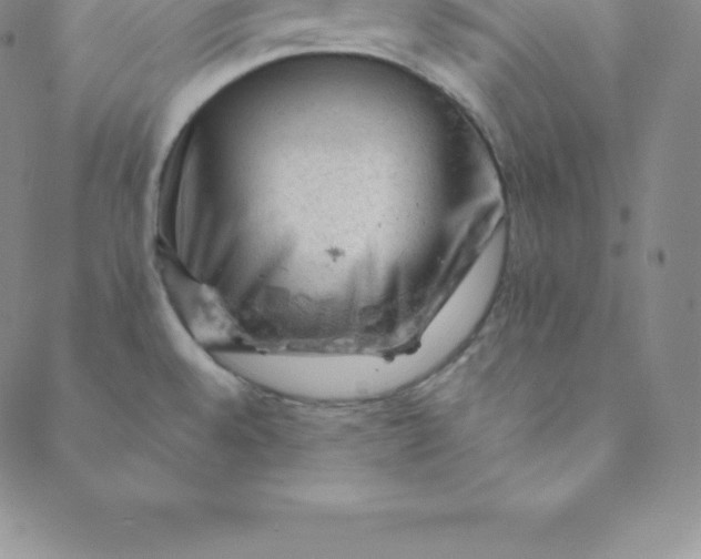 X0000088651528200706081625