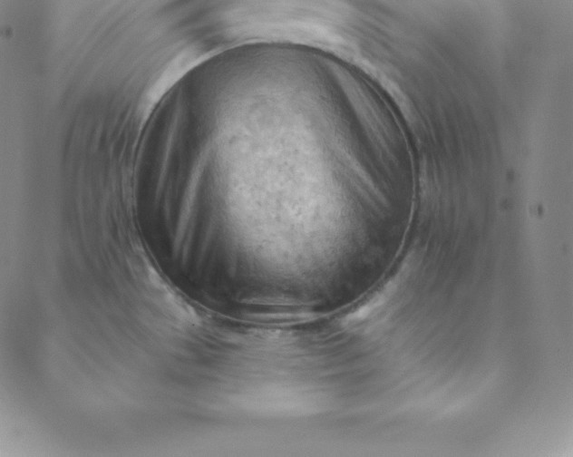 X0000088651529200706081625