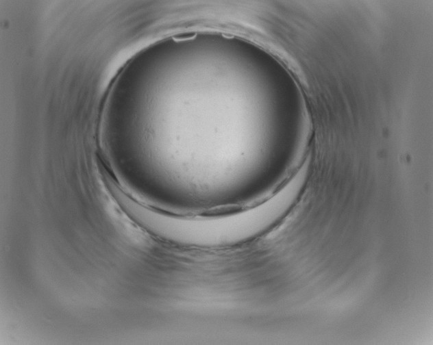 X0000088651530200706081625