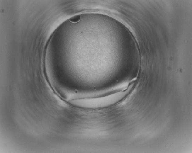 X0000088651533200706081625