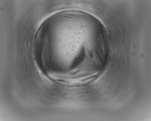 X0000088651534200706081625