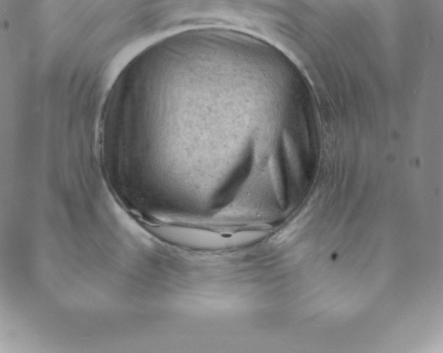 X0000088651535200706081625