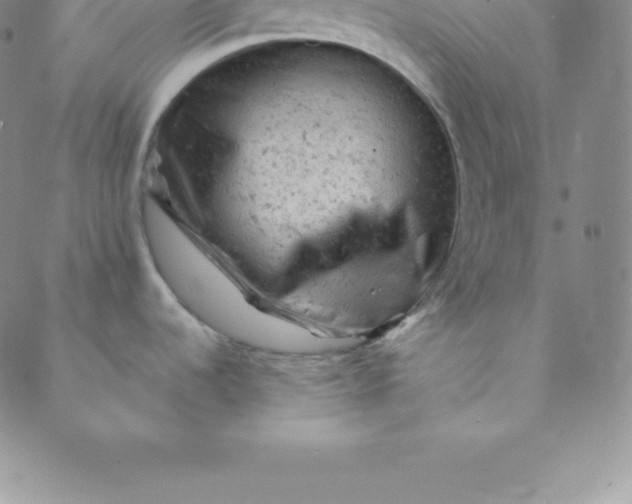 X0000088651536200706081625