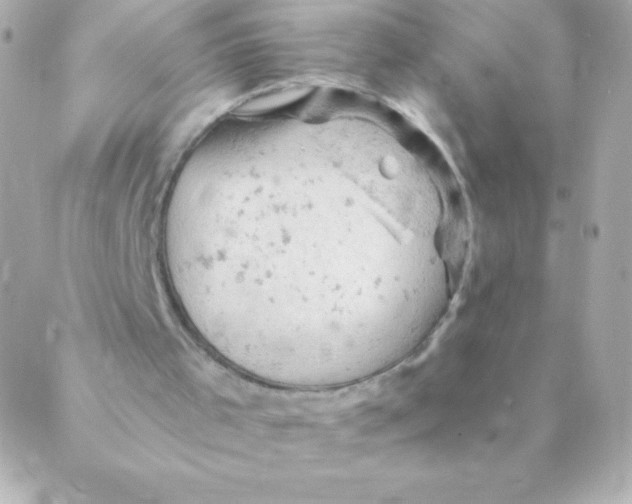 X0000088650001200706152019