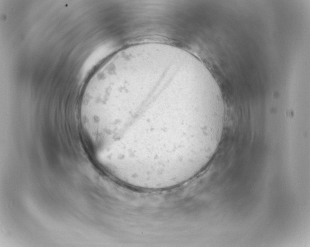 X0000088650004200706152019