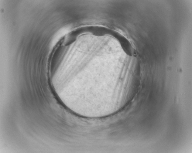 X0000088650006200706152019