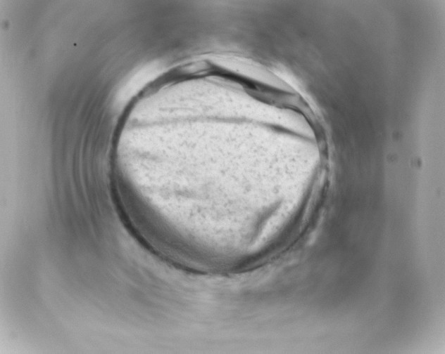 X0000088650007200706152019