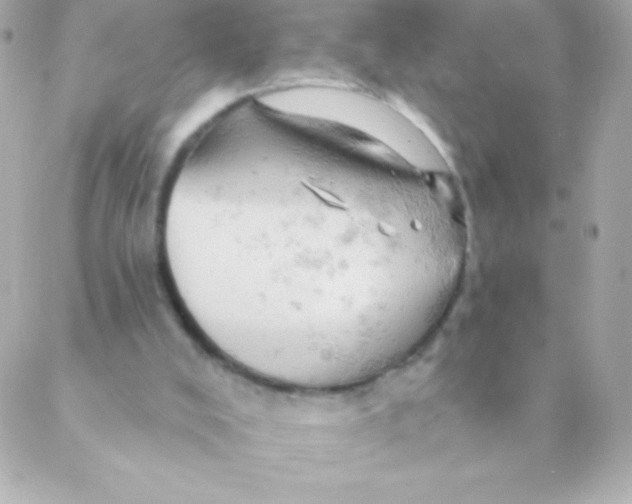 X0000088650008200706152019