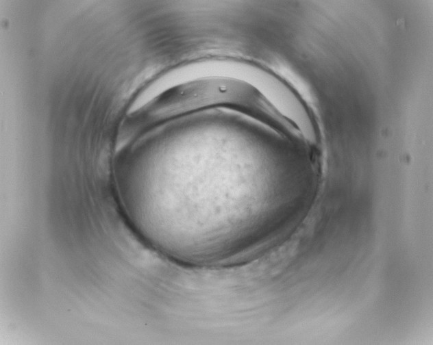 X0000088650009200706152019