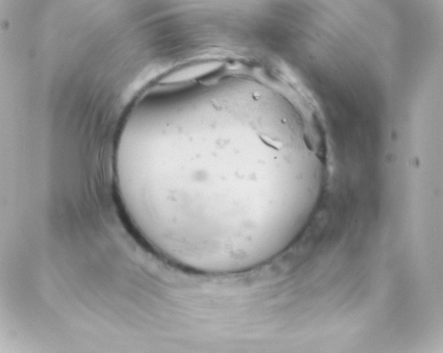 X0000088650011200706152019