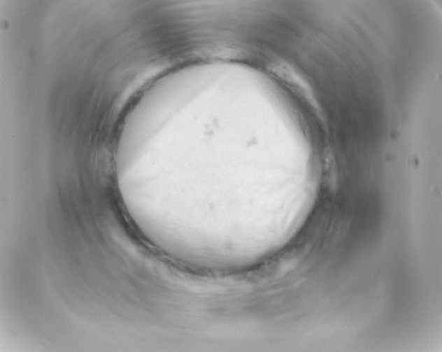 X0000088650012200706152019