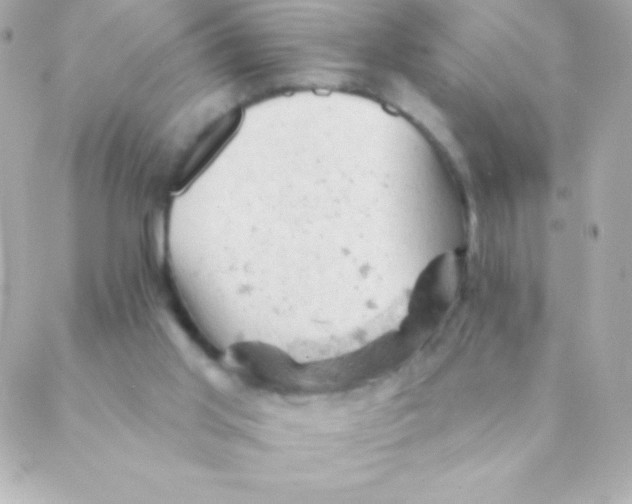 X0000088650013200706152019