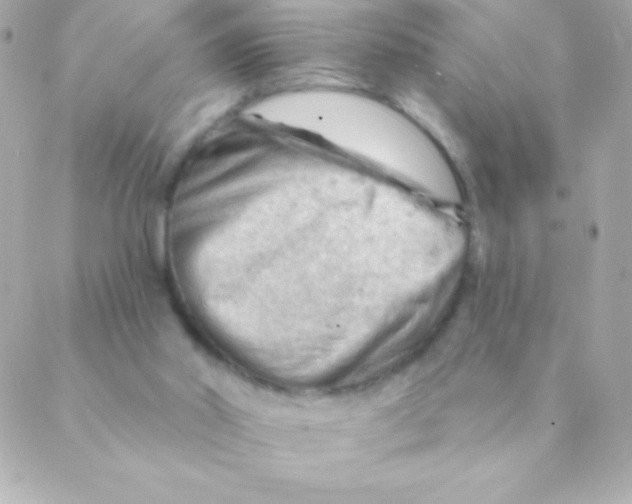 X0000088650014200706152019