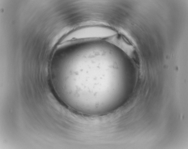 X0000088650015200706152019