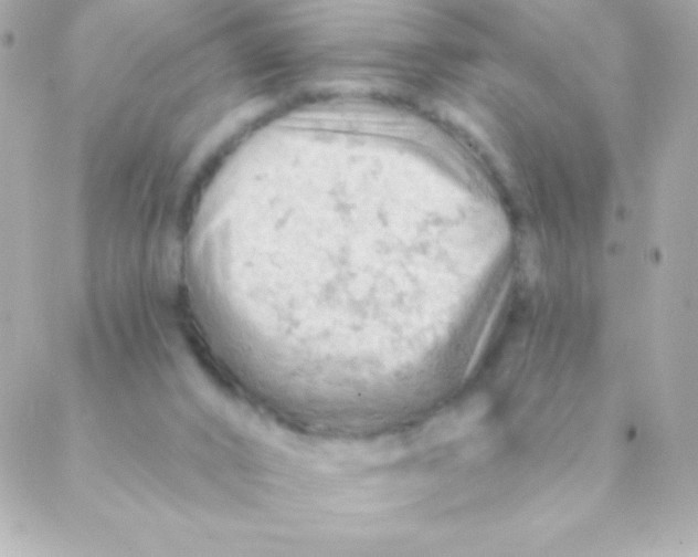 X0000088650016200706152019