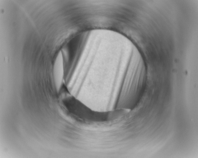 X0000088650017200706152019