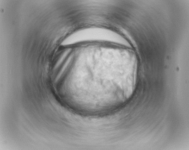 X0000088650018200706152019