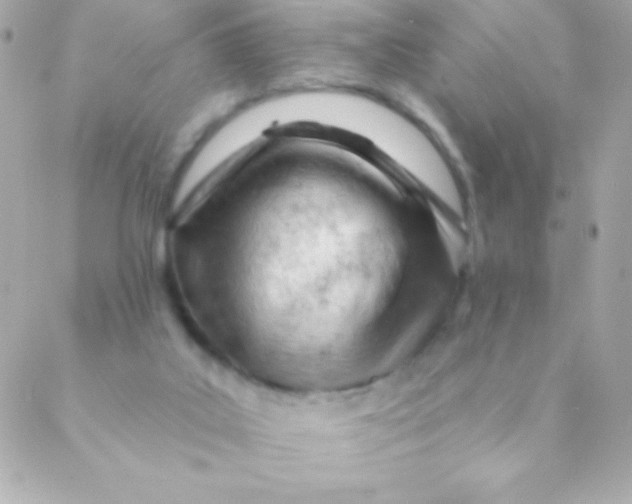 X0000088650019200706152019