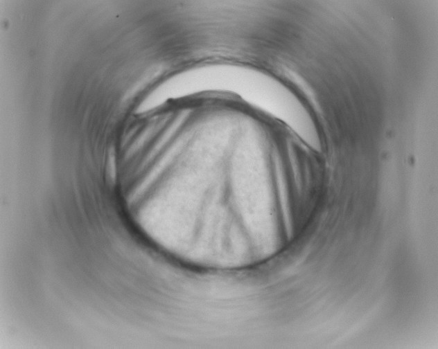 X0000088650020200706152019