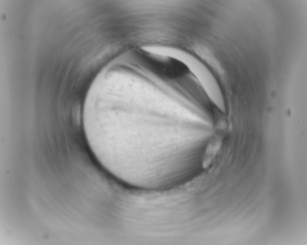 X0000088650021200706152019