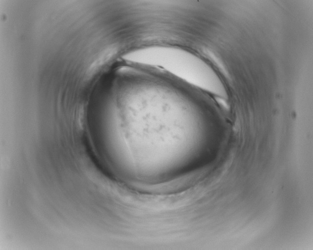 X0000088650023200706152019