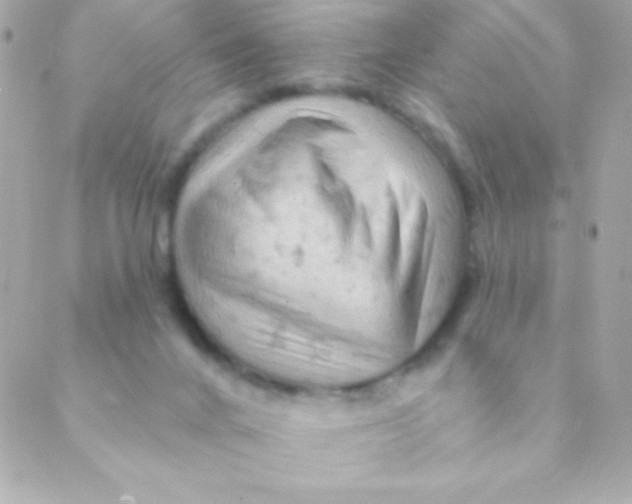 X0000088650024200706152019