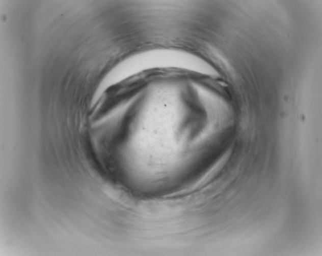 X0000088650025200706152019