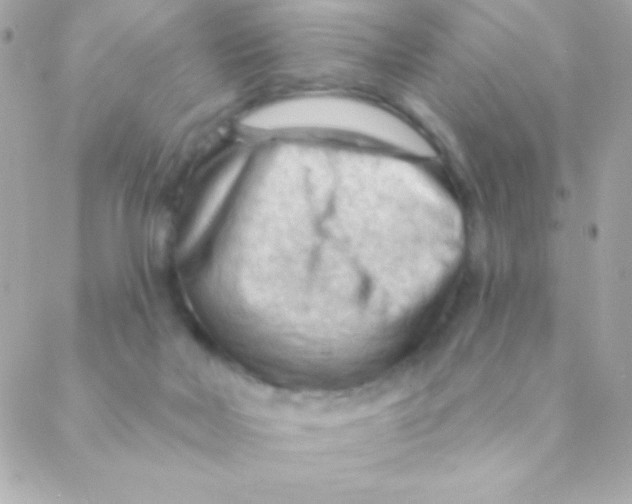 X0000088650026200706152019