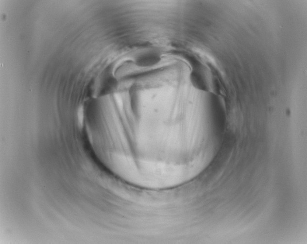 X0000088650027200706152019