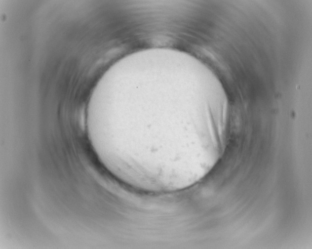 X0000088650028200706152019