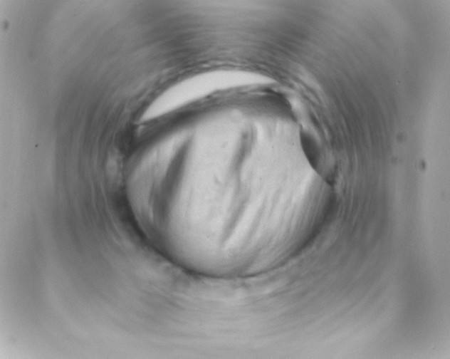 X0000088650029200706152019