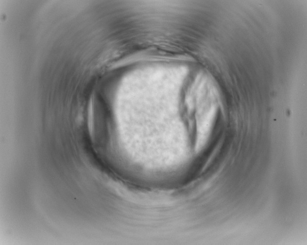 X0000088650032200706152018