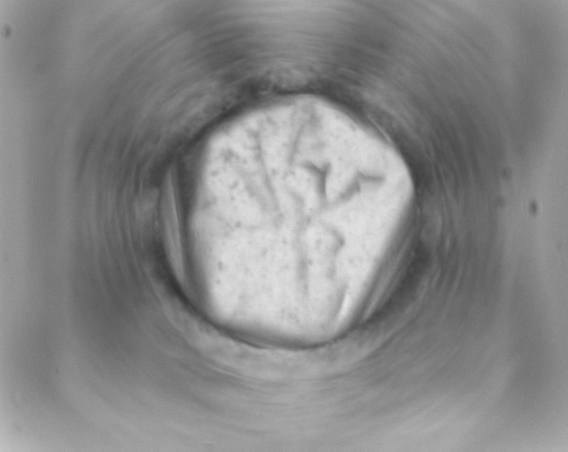 X0000088650034200706152018