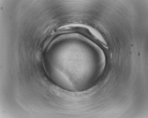 X0000088650035200706152018