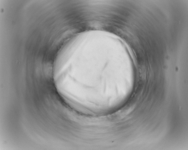 X0000088650036200706152018