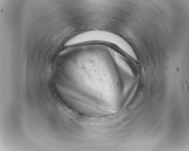 X0000088650037200706152018