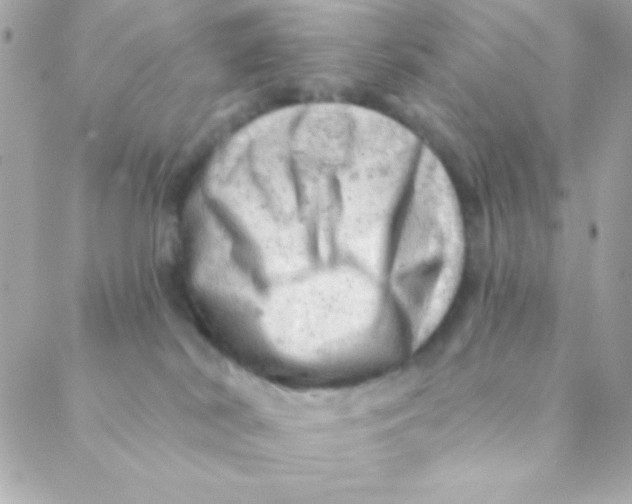 X0000088650038200706152018