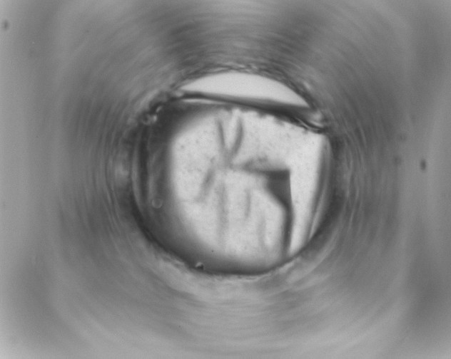 X0000088650040200706152018