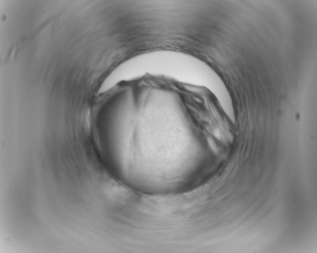 X0000088650041200706152018