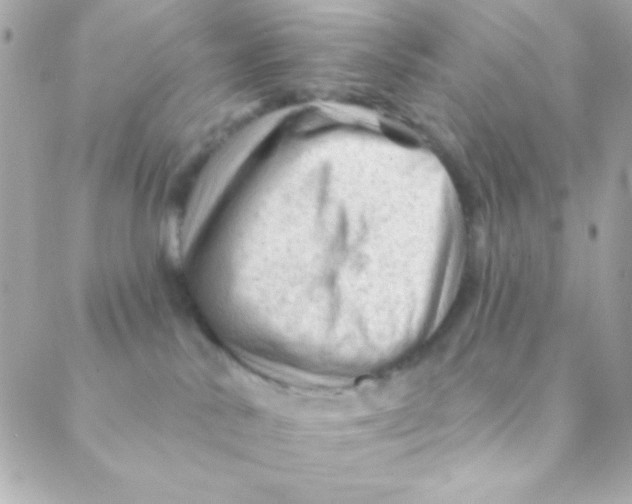 X0000088650042200706152018